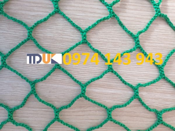 z2086780988670_4e67fd8c11b1e6217ced7515239763b9