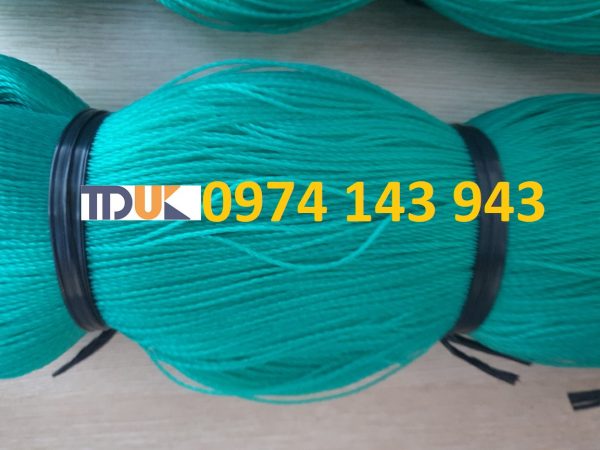 z2113674901083_d03512226841854a4f6116dfef2f6df6