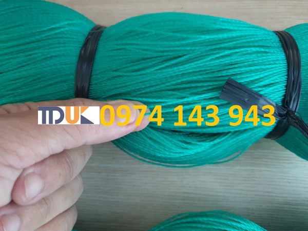 z2113674914318_922a3c7cb6d18d8ec29429564e09b1d6